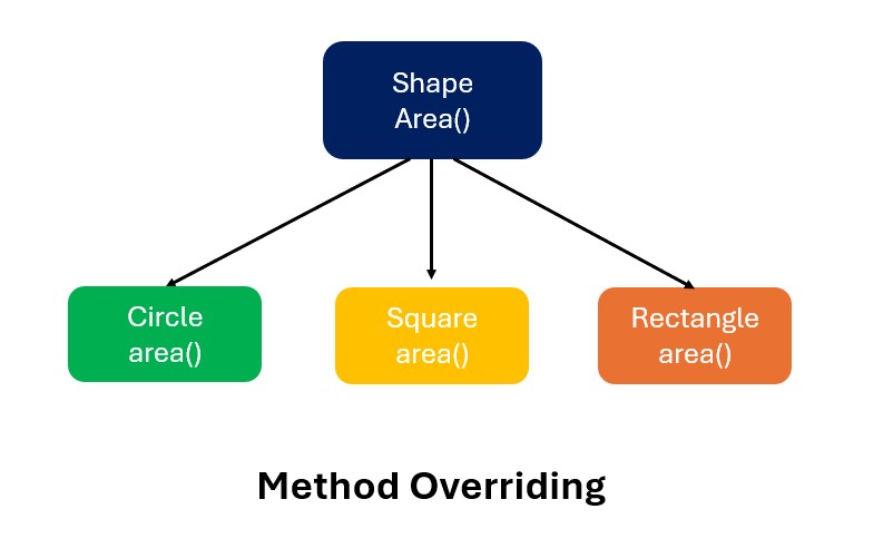 Understanding Method Overriding in Java